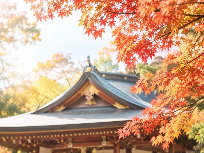 紅葉に囲まれた神社の屋根（七五三のイメージ）
